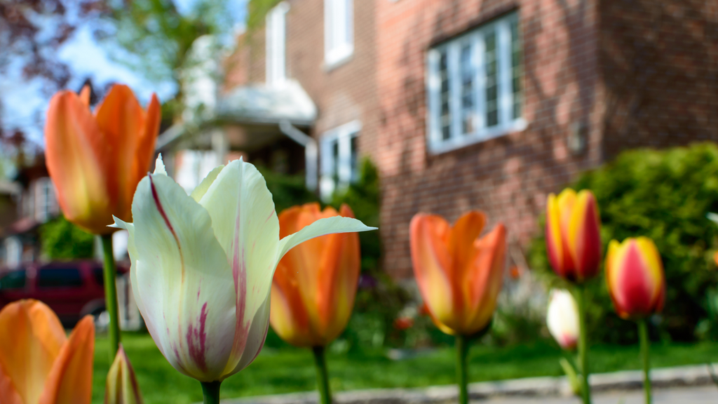 preparing your home for spring